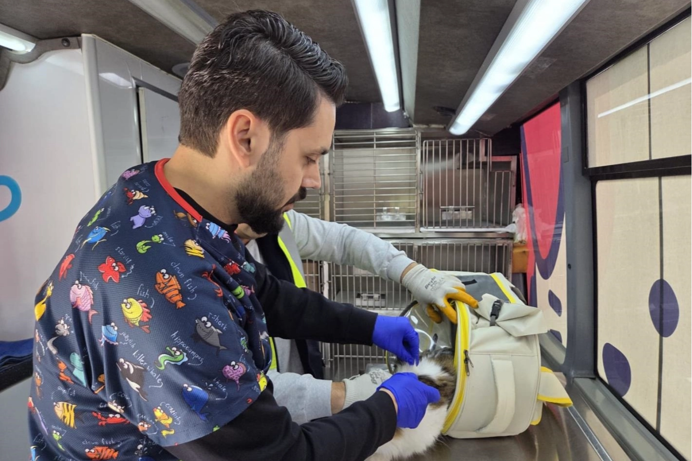Balıkesir&rsquo;de can dost aracı yollarda